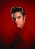 photo Elvis Presley