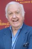 photo Chuck McCann