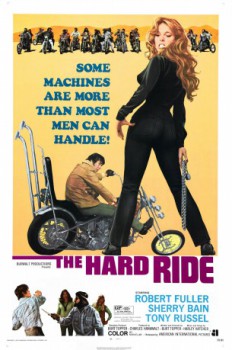 poster Hard Raider
