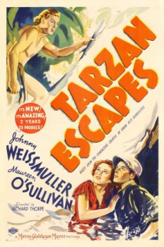 poster Tarzans Rache