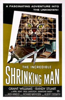 poster Die unglaubliche Geschichte des Mr. C