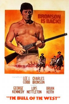poster Charles Bronson - Ein Mann räumt auf