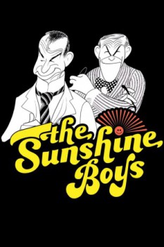 poster Die Sunny Boys