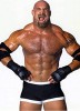 photo Bill Goldberg