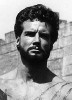 photo Steve Reeves