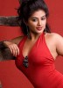 photo Priyamani