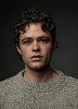 photo Harrison Gilbertson