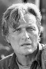 photo Rutger Hauer