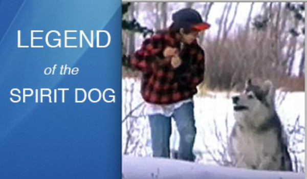 poster Spirit Dog - Die Fährte des Geisterhundes