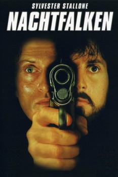 poster Nachtfalken