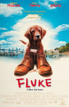poster Fluke - Ein Hund ist auch nur ein Mensch