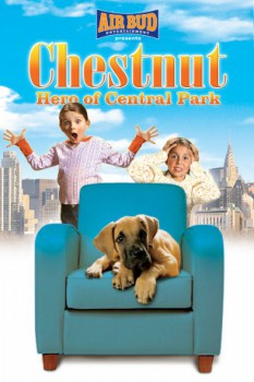 poster Chestnut Der Held vom Central Park
