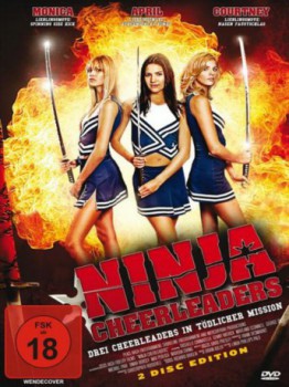 poster Ninja Cheerleaders