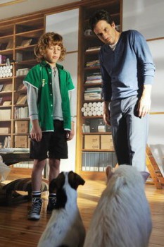 poster Tierisch verknallt