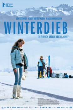 poster Winterdieb