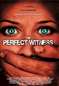 poster The Perfect Witness - Der tödliche Zeuge
