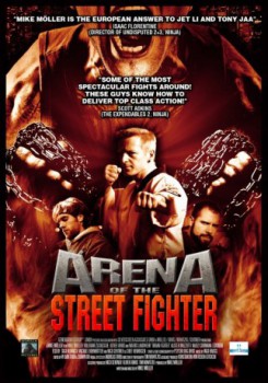 poster Street Gangs - Arena of the Street Fighter