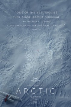 poster Arctic
