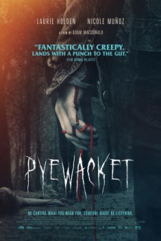 poster Pyewacket: Tödlicher Fluch