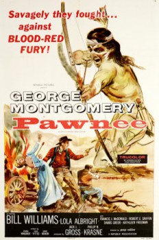 poster Die Attacke am Rio Morte