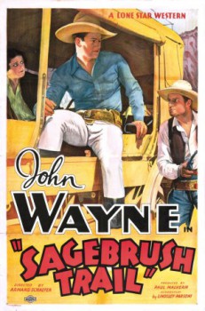 poster John Wayne - Gestohlene Ware 