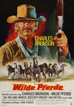 poster Wilde Pferde