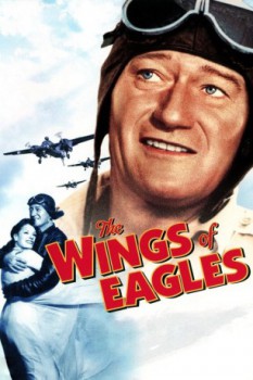 poster Dem Adler gleich