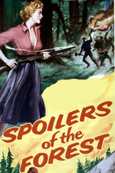 poster Flammen über dem Silbersee