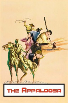 poster Südwest nach Sonora